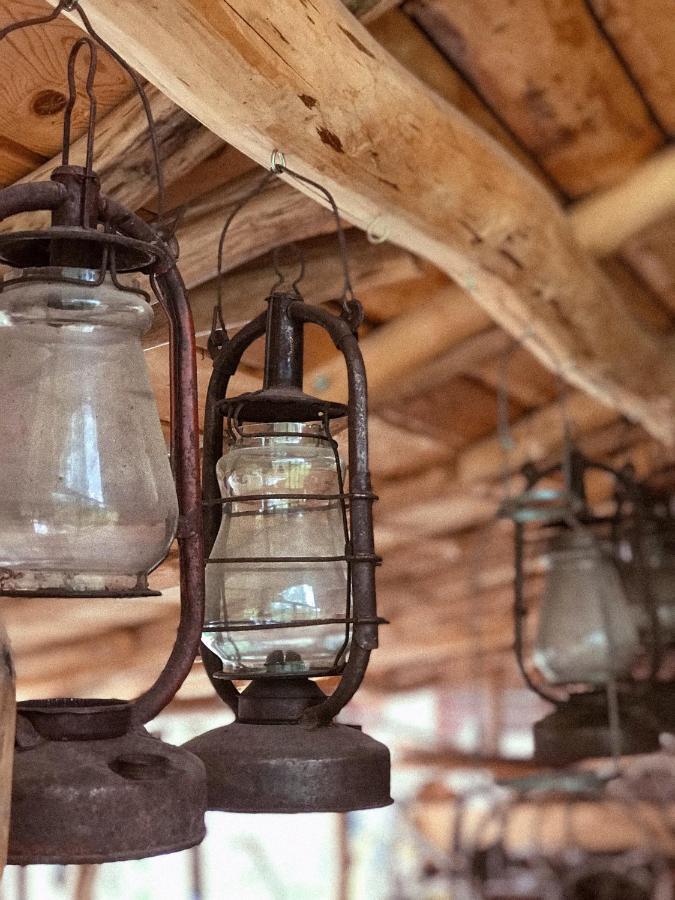 Чорногірський Вітер Villa Verkhovijna Eksteriør bilde